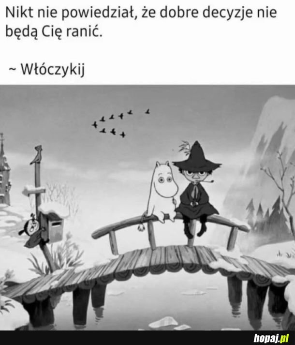 Decyzje
