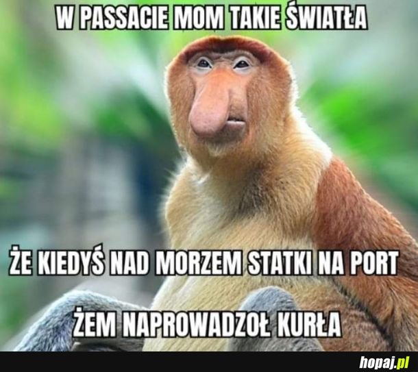 Także ten wieta ni