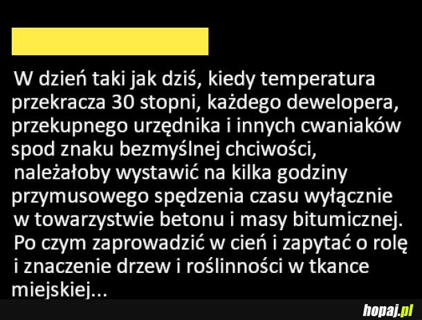 Deweloperzy na rozgrzaną kostkę!