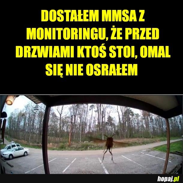 Masz intruza