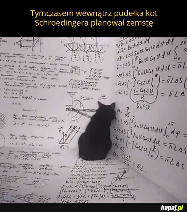 Kot Schroedingera