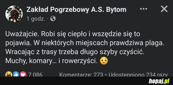 Zakład Pogrzebowy A.S Bytom w formie