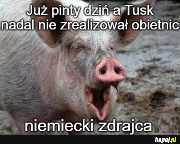 PiSokwik