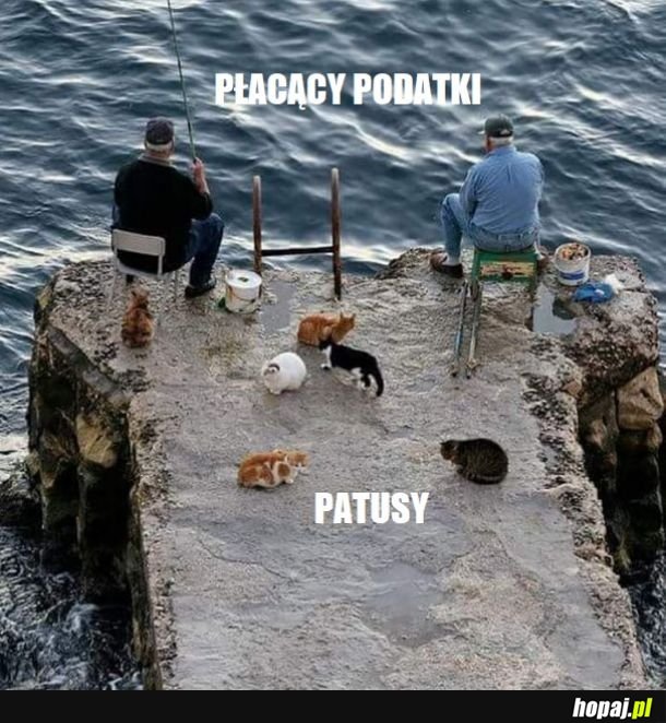 Założenia Nowego Ładu w pigułce