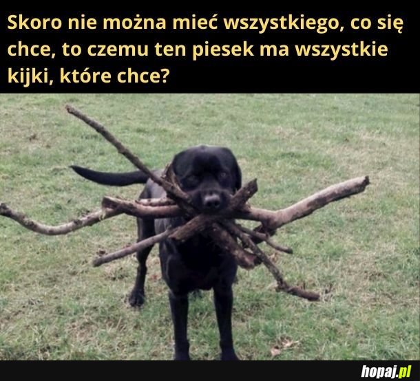 Zawsze jest kijek, którego się pragnie, a którego mieć nie można