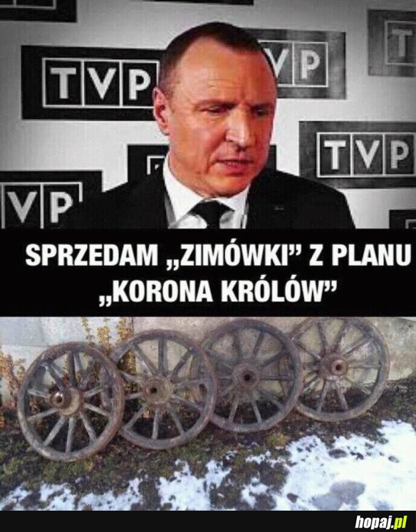 ZIMÓWKI Z KORONY KRÓLÓW