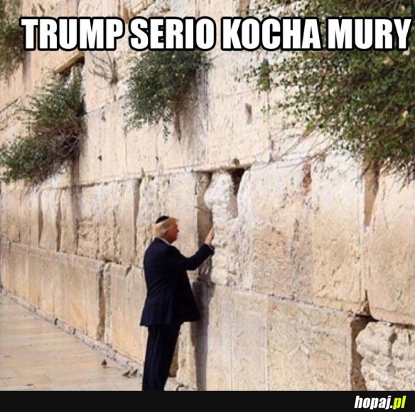 TRUMP KOCHA MURY