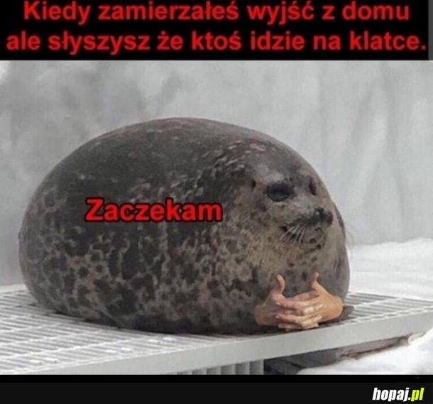 Też tak macie?