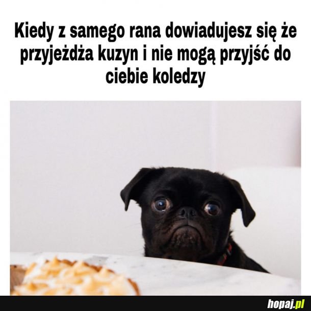 Boże jak żyć