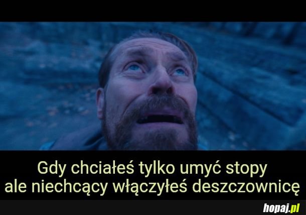 Wajcha jednak w dół 
