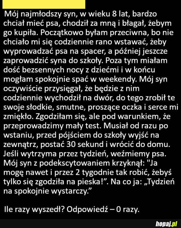 Prosty sposób na sprawdzenie czy twoje dziecko będzie wychodzić z psem na spacery