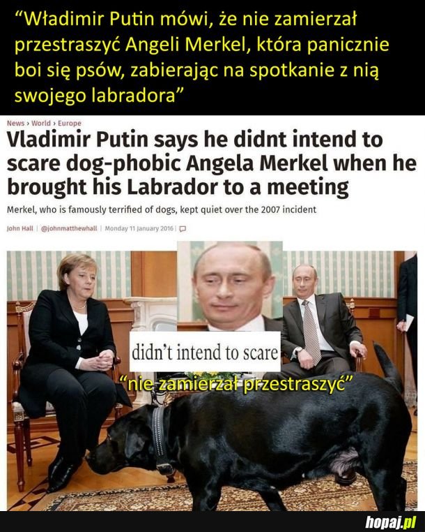 Putin śmieszek