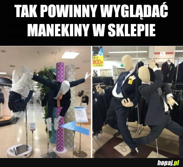  Z polotem i finezją 