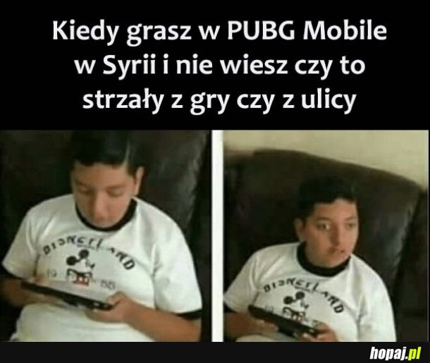 Strzały 
