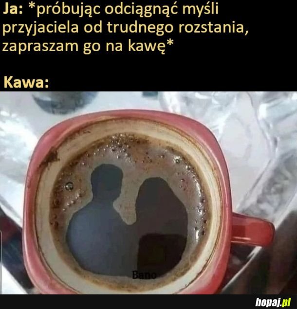 Kawka