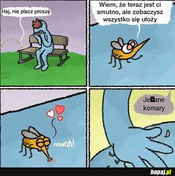 Komar