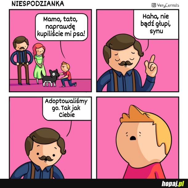 Niespodzianka