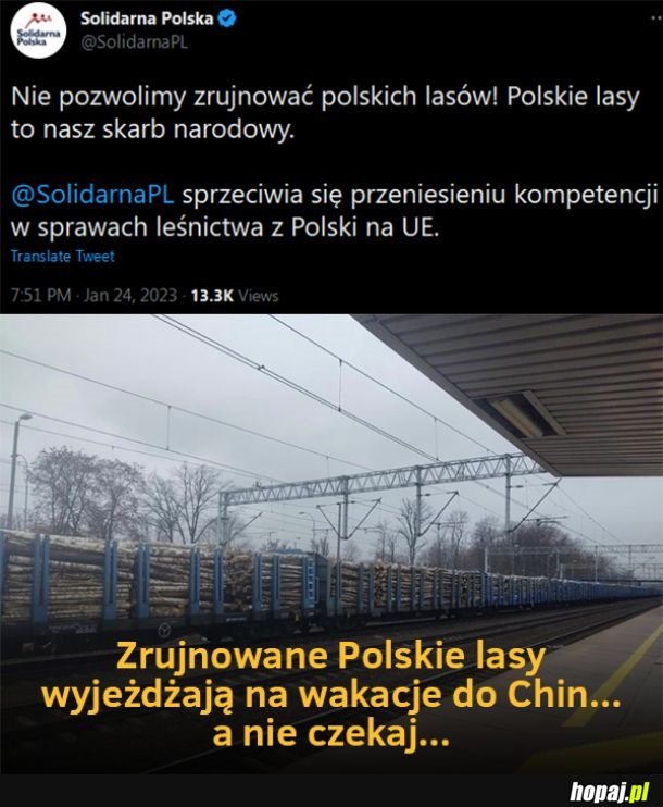 Zrujnowane Polskie lasy...