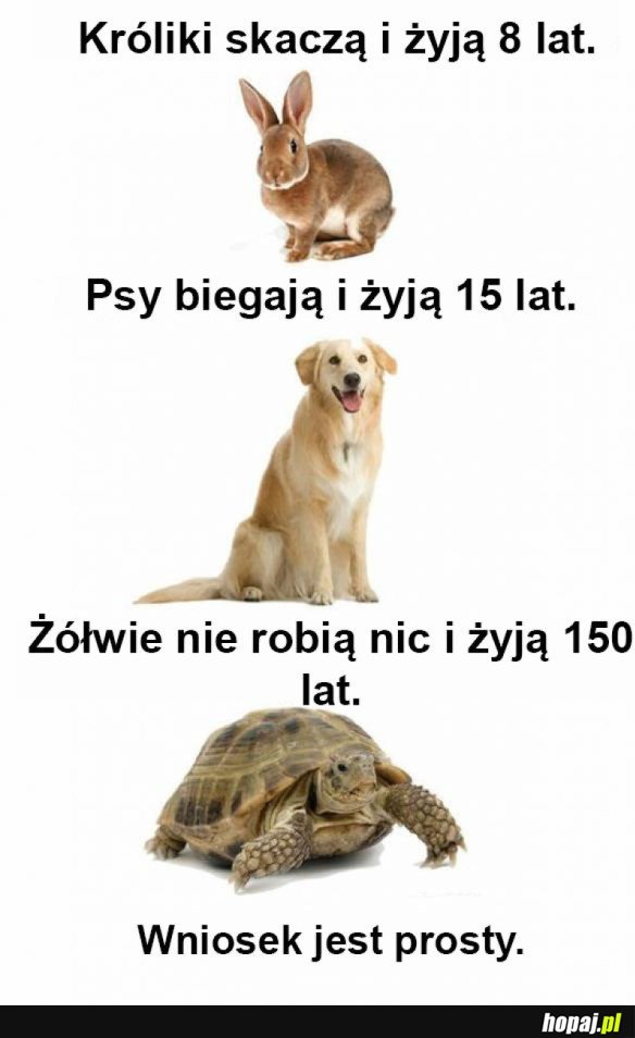 WIESZ CO ROBIĆ