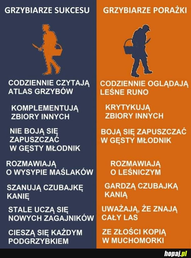 Akurat okres grzybobrański w pełni