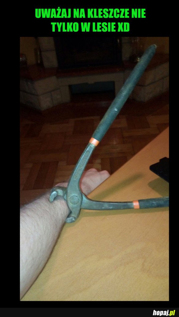 KLESZCZE SĄ WSZĘDZIE