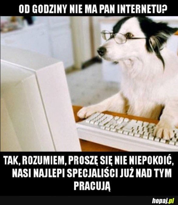 TAK TO WIDZĘ