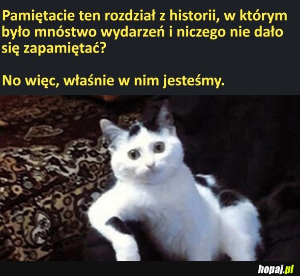 Rozdział pełen wydarzeń