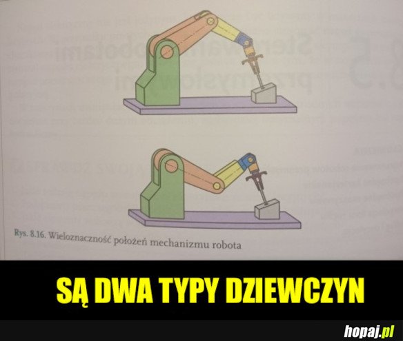 SĄ DWA TYPY LASEK