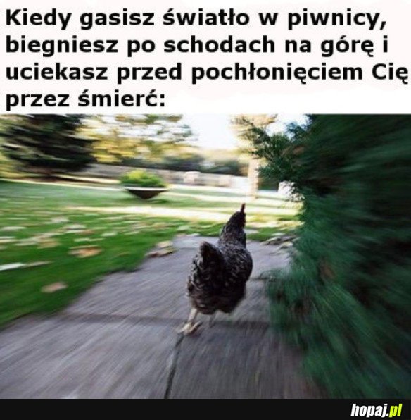 RATUJ SIĘ KTO MOŻE!