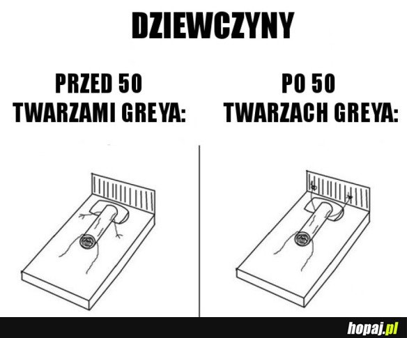 PIĘĆDZIESIĄT TWARZY GREYA