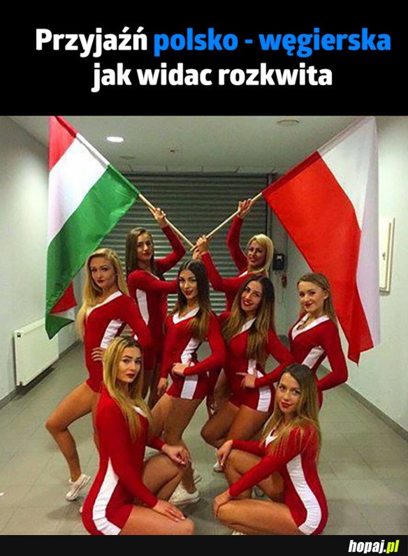PRZYJAŹŃ ROZKWITA