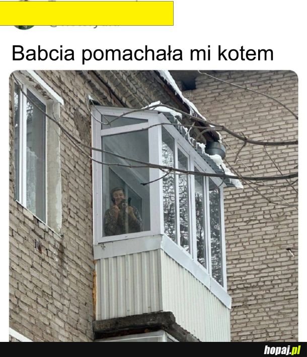 Kot widzę przeszczęśliwy