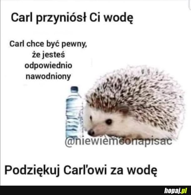 Pamiętaj, to ważne