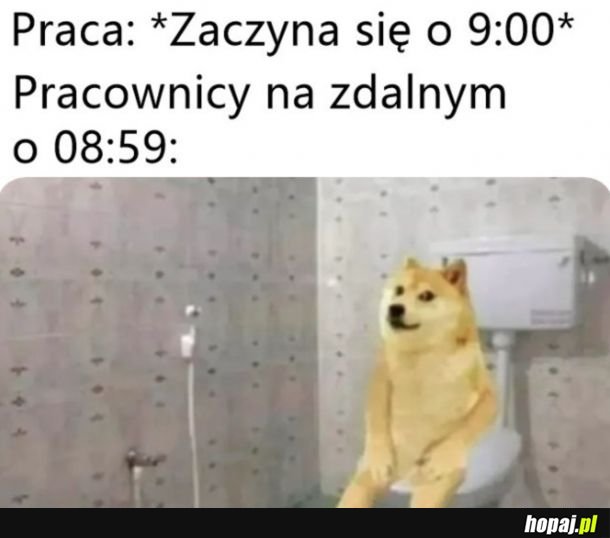 Praca na zdalnym