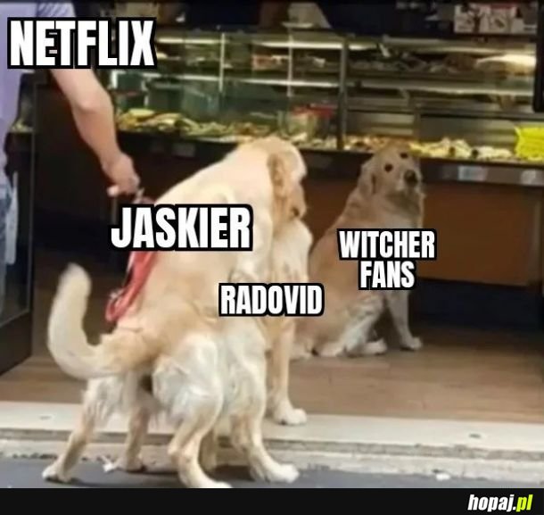 Netflix adaptation