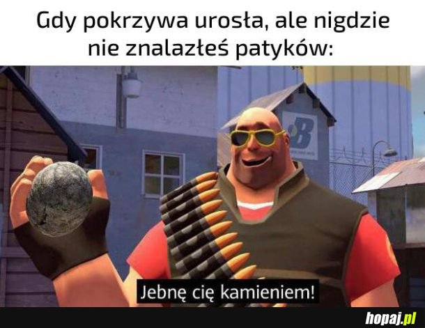 Pokrzywka