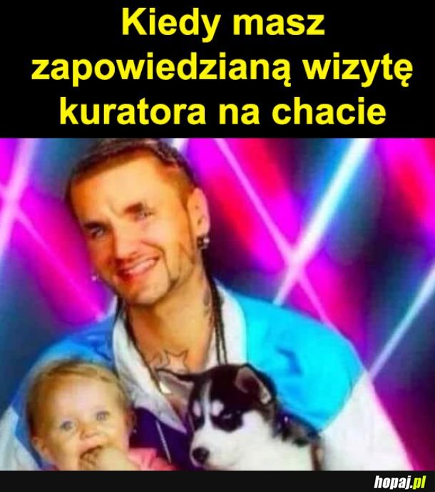 Grzeczny patol