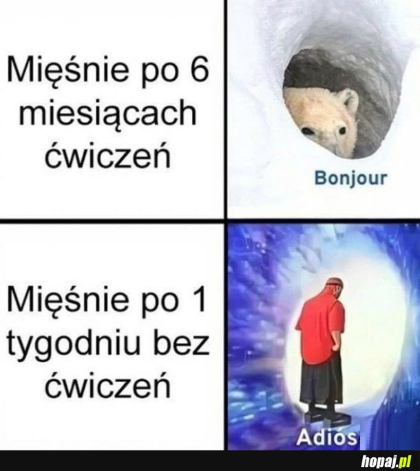 Moje mięśnie