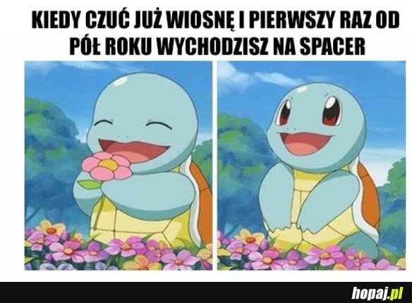 A SŁOŃCE WYPALA OCZY OD SIEDZENIA PRZY KOMPUTERZE