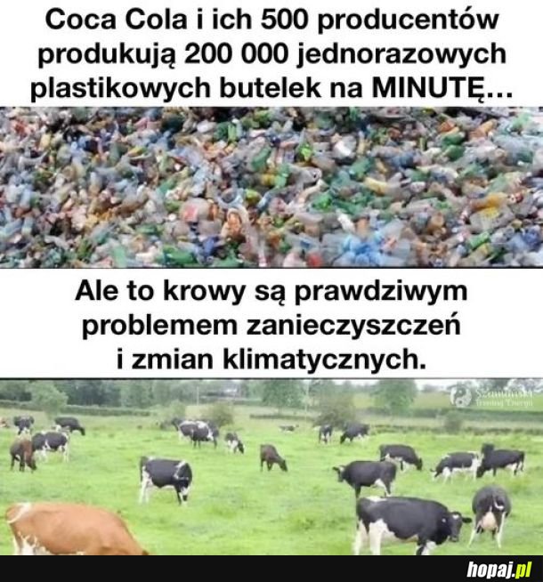 Ale to papierowe słomki pomogą