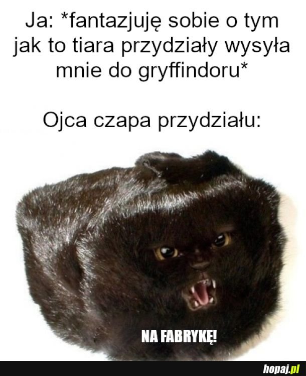 Futrzana czapka z klapami