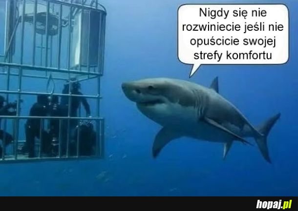 Dawajcie, śmiało