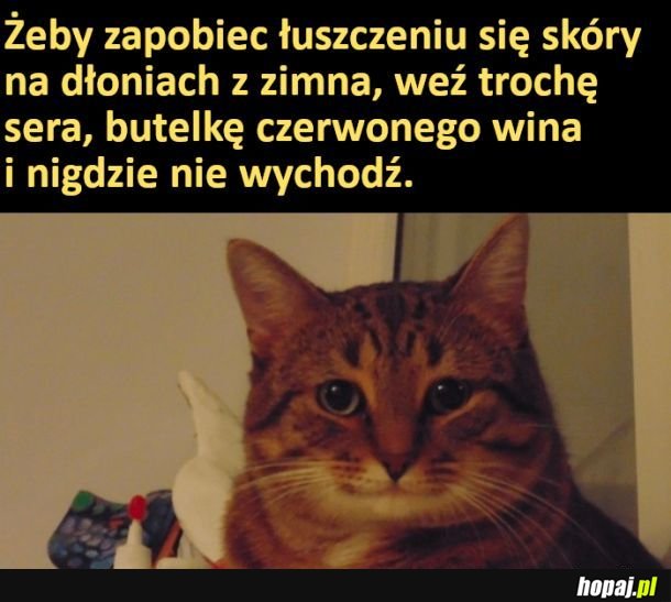 Dobra rada