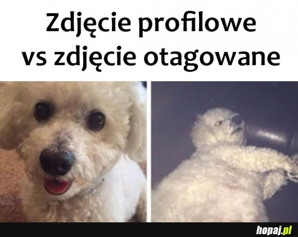 Moje zdjęcia