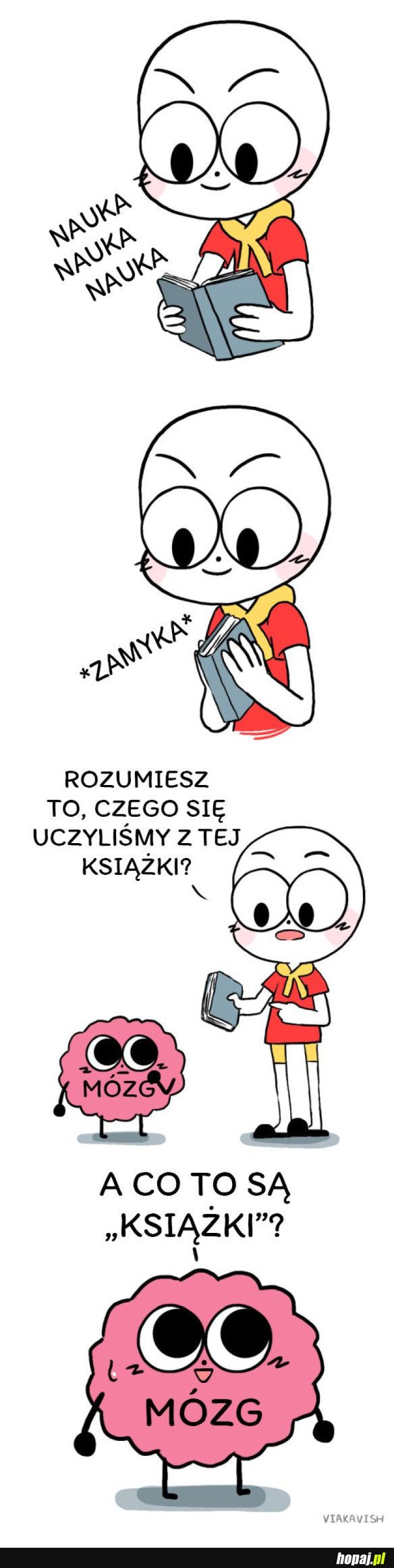 MÓZG