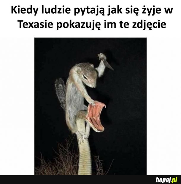 Życie w Texasie