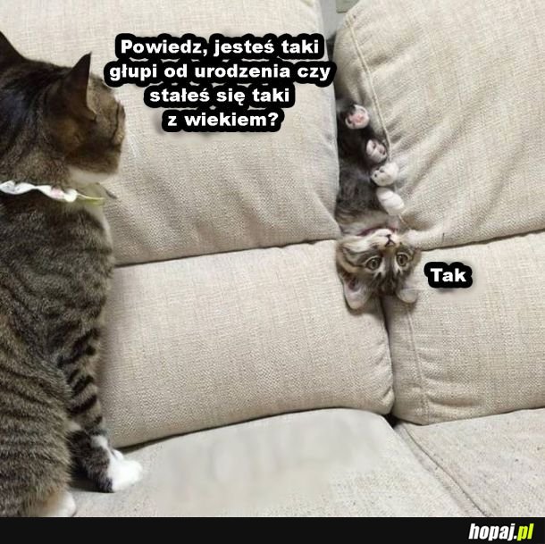 Tak.