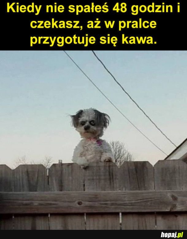 Kawusia