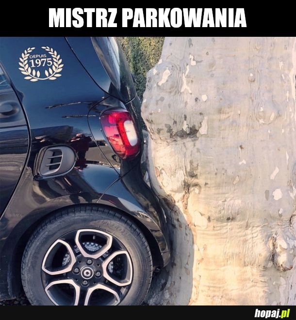 MIŁO PATRZEĆ