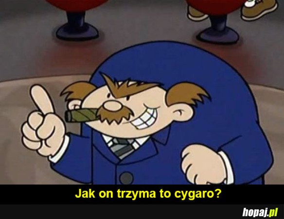 Potęga wąsa